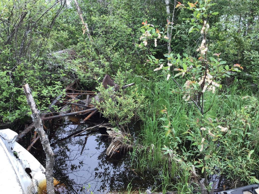 WHAT THE KING DID TODAY